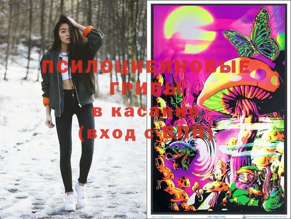меф Пересвет