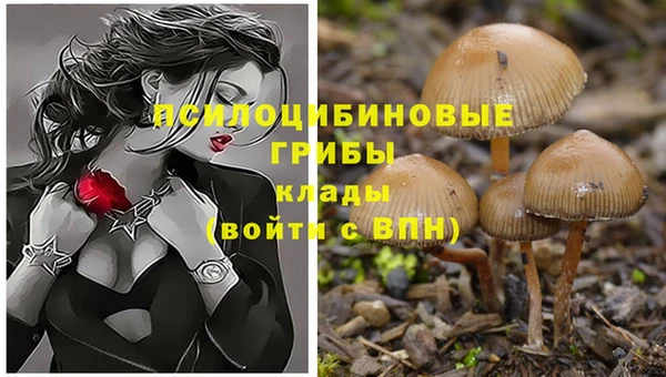 амф Карпинск