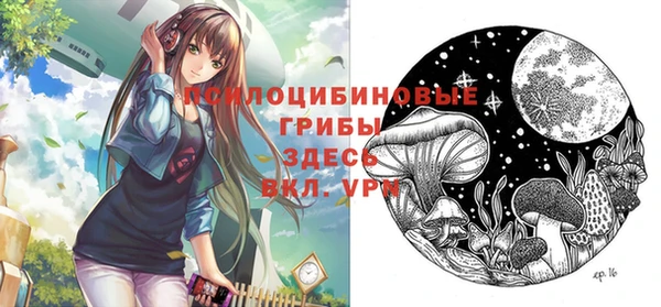 ешки Пестово