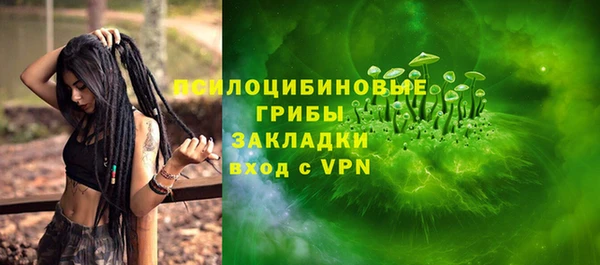 ешки Пестово
