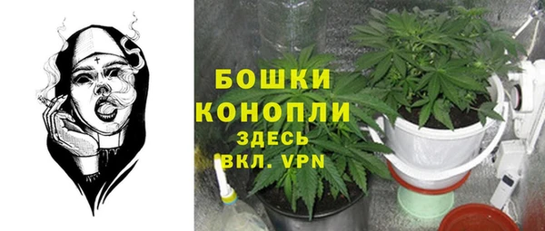 меф Пересвет
