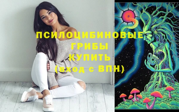 2c-b Переславль-Залесский